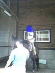 乗馬で癒し.jpg